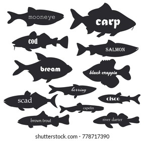 Commercial fish vector silhouettes with names calligraphy. Illustration of silhouette fish river and sea for your web design.