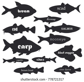 Commercial fish vector silhouettes with names calligraphy. Illustration of silhouette fish river and sea for your web design.