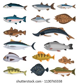 Commercial fish of the world color icons set isolated on white