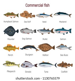 Commercial fish of the world color icons set isolated on white