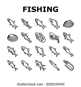 Commercial Fishing Aquaculture Icons Set Vector. Japanese Cockle And Anchovy, Common And Silver Carp, Rohu And Catle Fish, Chub Mackerel And Yellowfin Tuna Fishing Business Black Contour Illustrations