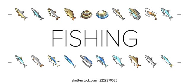 Commercial Fishing Aquaculture Icons Set Vector. Japanese Cockle And Anchovy, Common And Silver Carp, Rohu And Catle Fish, Chub Mackerel And Yellowfin Tuna Fishing Business Line. Color Illustrations