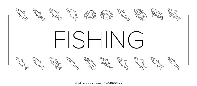 Commercial Fishing Aquaculture Icons Set Vector. Japanese Cockle And Anchovy, Common And Silver Carp, Rohu And Catle Fish, Chub Mackerel And Yellowfin Tuna Fishing Business Black Contour Illustrations