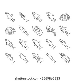 Commercial Fishing Aquaculture Icons Set Vector. Japanese Cockle And Anchovy, Common And Silver Carp, Rohu And Catle Fish, Chub Mackerel And Yellowfin Tuna Fishing Business Black Contour Illustrations