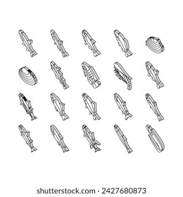 Commercial Fishing Aquaculture isometric icons set. Japanese Cockle And Anchovy, Common And Silver Carp, Rohu And Catle Fish, Chub Mackerel And Yellowfin Tuna Fishing Business Line. Color .