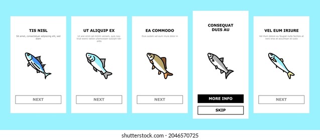 Commercial Fishing Aquaculture Onboarding Mobile App Page Screen Vector. Japanese Cockle And Anchovy, Common And Silver Carp, Rohu And Catle Fish,Yellowfin Tuna Fishing Business Illustrations