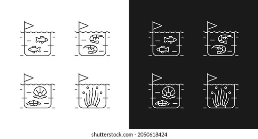 Iconos lineales de cultivo de productos marinos comerciales establecidos para el modo oscuro y luminoso. Camarón, cultivo de peces. Extracción de perla. Símbolos de línea delgada personalizables. Ilustraciones aisladas del contorno vectorial. Trazo editable