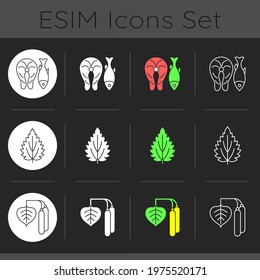 Common allergens dark theme icons set. Fish and marine food. Birch pollen. Reason for allergy. Herbal ingredients. Linear white, solid glyph and RGB color styles. Isolated vector illustrations