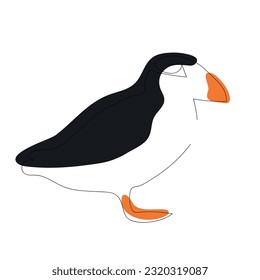 Common Atlantic puffin (Fratercula arctica) continuous one line vector drawing. Bird hand drawn modern simple single lineart style. Sketch. Illustration isolated on white background.