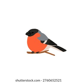 Common backyard birds clipart set with Ukrainian and English names, educational bird illustrations collection, European songbirds vector graphics with bullfinch jay sparrow blackbird