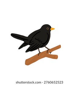 Common backyard birds clipart set with Ukrainian and English names, educational bird illustrations collection, European songbirds vector graphics with bullfinch jay sparrow blackbird