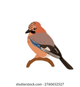 Common backyard birds clipart set with Ukrainian and English names, educational bird illustrations collection, European songbirds vector graphics with bullfinch jay sparrow blackbird