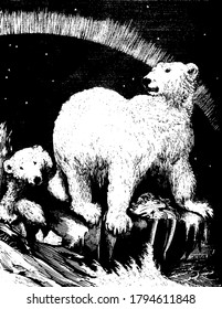 The common bear found throughout Europe, shows european bear in wildlife, vintage line drawing or engraving, vintage illustration.
