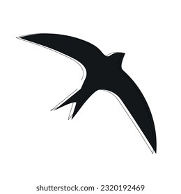 Common black swift (Apus apus) continuous one line vector drawing. Bird hand drawn modern simple single lineart style. Sketch.