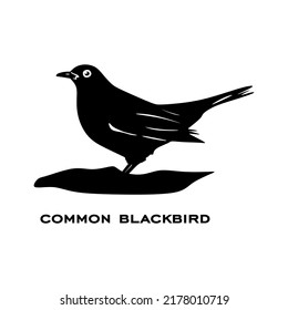 Common blackbird logo isolated on white background. Bird sign. Common blackbird silhouette. Minimalist bird icon vector illustration