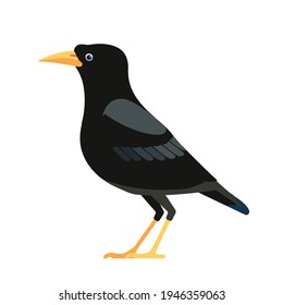 Common blackbird is a species of true thrush. Eurasian blackbird. Turdus merula. Black bird Cartoon flat style character of ornithology, vector illustration isolated on white.