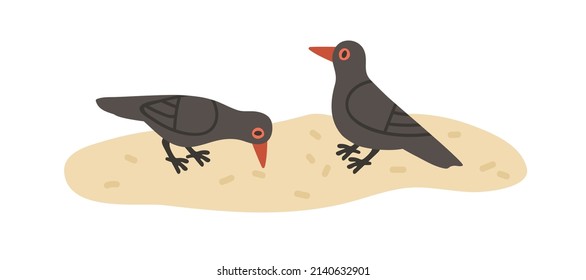 Common blackbirds couple eating. Tudus merula birds with black plumage, picking feed from earth. Wild feathered animals. Flat vector illustration isolated on white background