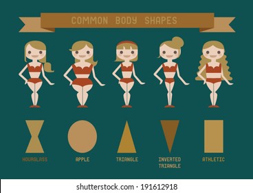 Common body shapes