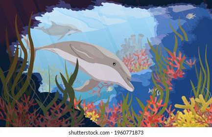 Common bottlenose dolphin Tursiops truncatus swims into the spawning cave with green algae, corals, tropical fish and other sea creatures. Realistic vector underwater landscape