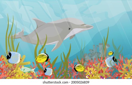 Common bottlenose dolphin Tursiops truncatus swim in warm water with green algae, corals, tropical fish and other sea creatures. Realistic vector underwater landscape