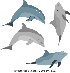 Common bottlenose dolphin vector image collection