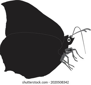 Common brimstone butterfly silhouette vector
