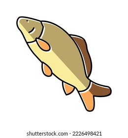 common carp color icon vector. common carp sign. isolated symbol illustration