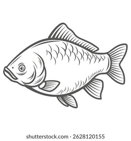 Common Carp Cyprinus Carpio Line Art Illustration