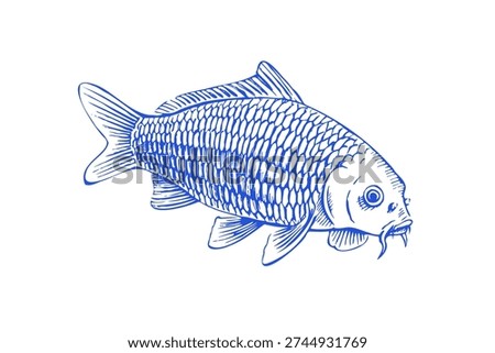 Common Carp Fish Graphic Pen Drawing in Vector