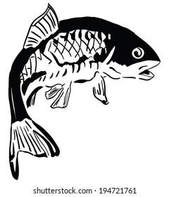 Common Carp Fish Species Inhabiting Freshwater Stock Vector (Royalty ...