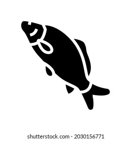 common carp glyph icon vector. common carp sign. isolated contour symbol black illustration