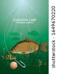 Common Carp in river Kennet