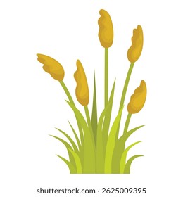 Common cattail with fluffy brown ears growing in green grass blades