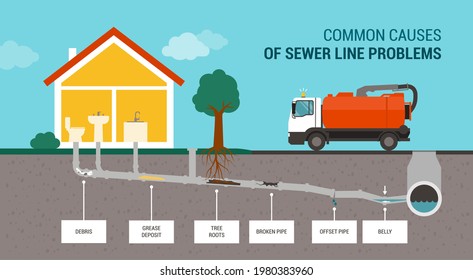 Common causes of sewer line problems infographic and sewer truck