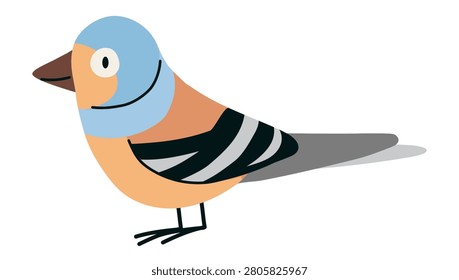 Common chaffinch songbird in side view. Cute woodland bird vector illustration for wildlife, birdwatching and nature design