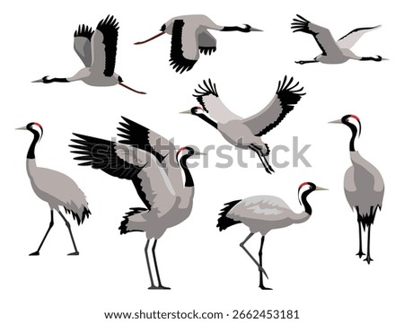 Common Crane Bird Various Poses Flying Walking Vector Character