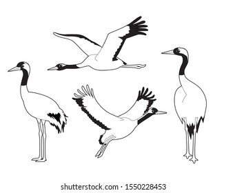 Common Crane Cute Cartoon Vector Coloring Book