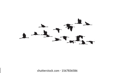 Common Cranes wedge in flight. Vector silhouette a flock of birds