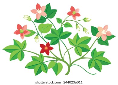 Common crape mrytle flower flat vector illustration on white background