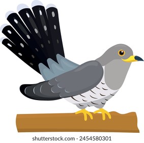 Common cuckoo bird on branch, cartoon illustration isolated on white background. Flat style character for kids.