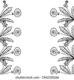 Common dandelion in sketch style, medicinal plant. Taraxacum officinale hand drawn doodle illustration. Frame or border.