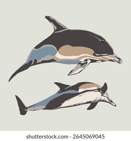 COMMON DOLPHIN (Delphinus delphis). Marine mammal illustration collection (vector illustration)