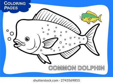 Common Dolphin Fish Outline Vector Design Illustration With Sample 