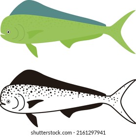 Common Dolphinfish, Dorado fish, vector illustration