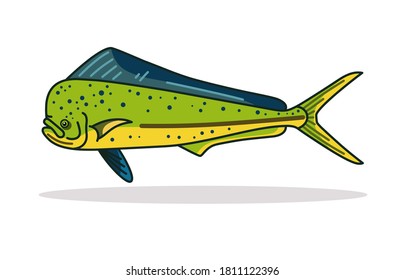 Common dolphinfish Illustration graphic vector art