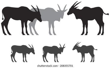 Common eland antelope, African safari wild animal vector silhouettes