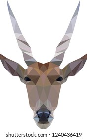 common eland head low poly (southern eland, eland antelope, taurotragus oryx); polygonal vector illustration design on white background