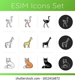 Common and exotic animals icons set. Linear, black and RGB color styles. African giraffe, ostrich and adorable fox. Tropical zoo inhabitants amd forest wildlife. Isolated vector illustrations