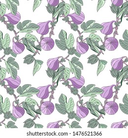 Common Fig Seamless Pattern. Vector Illustration.
