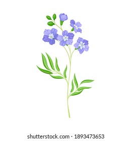 Common Flax or Linseed as Wildflower Specie or Herbaceous Flowering Plant Vector Illustration